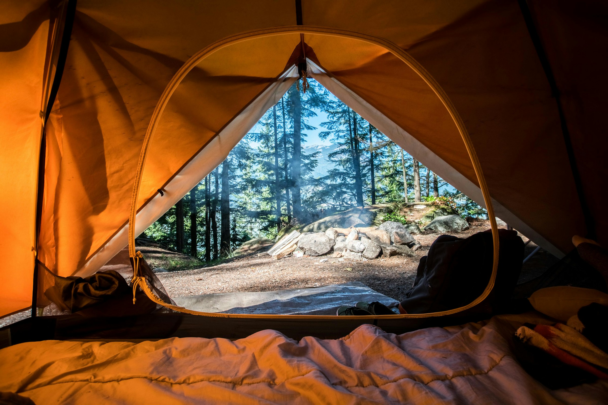 Looking out from a tent into a sunlit forest campsite